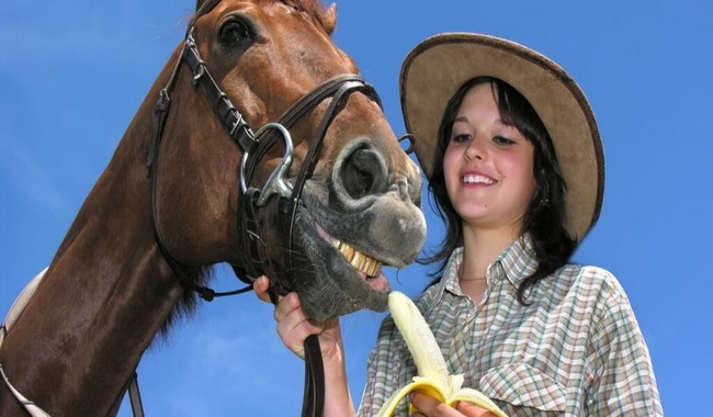 آیا اسب ها می توانند موز بخورند؟ | دا و پت
