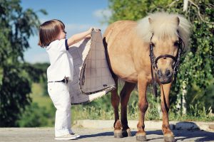10 اشتباه بزرگ در هنگام خرید اولين اسب | دام و پت