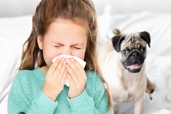 حساسیت به سگ خانگی | دام و پت