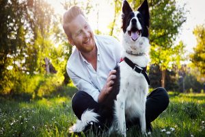 حساسیت به سگ خانگی | دام و پت