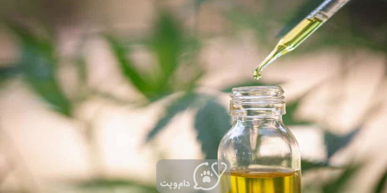 روغن CBD یا شاهدانه برای پرندگان || دام و پت