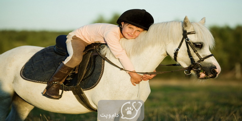 سن مناسب برای سوارکاری در اسب ها || دام و پت
