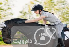 سن مناسب برای سوارکاری در اسب ها || دام و پت